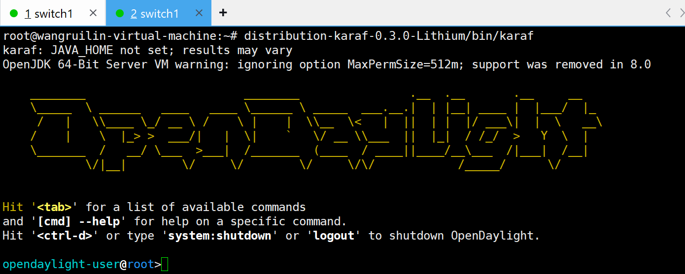 OpenDaylight Karaf 启动成功终端截图