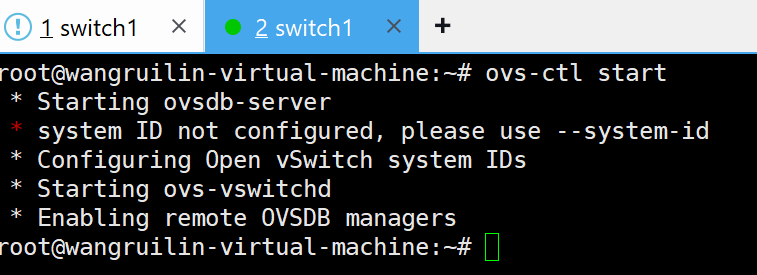 ovs-ctl start 启动 Open vSwitch 成功截图